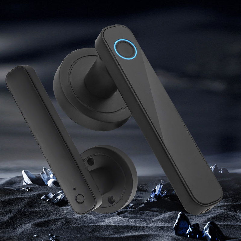 WF-F3 dimostrazione applicazione