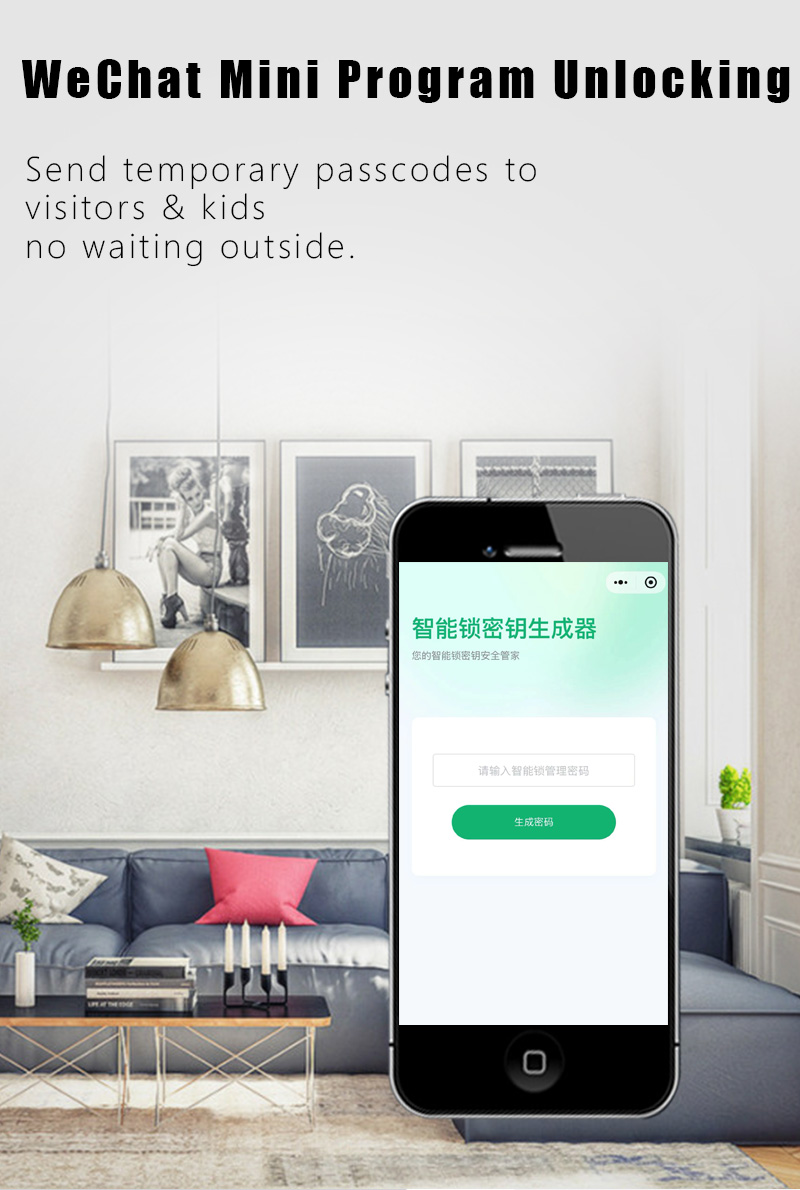 WAFU WF-V2 password temporanea tramite mini programma WeChat