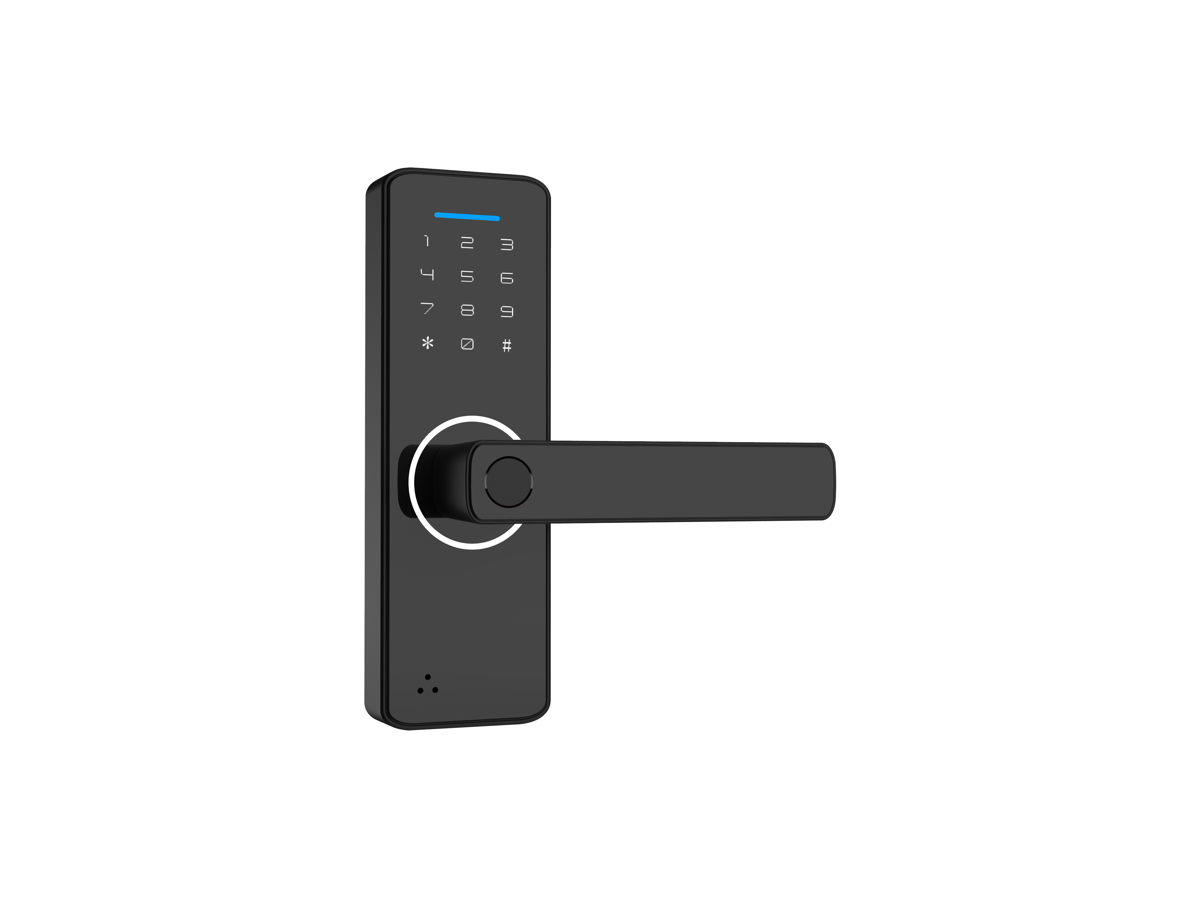 Serratura con maniglia intelligente WF-F1 5-in-1 - Vista frontale