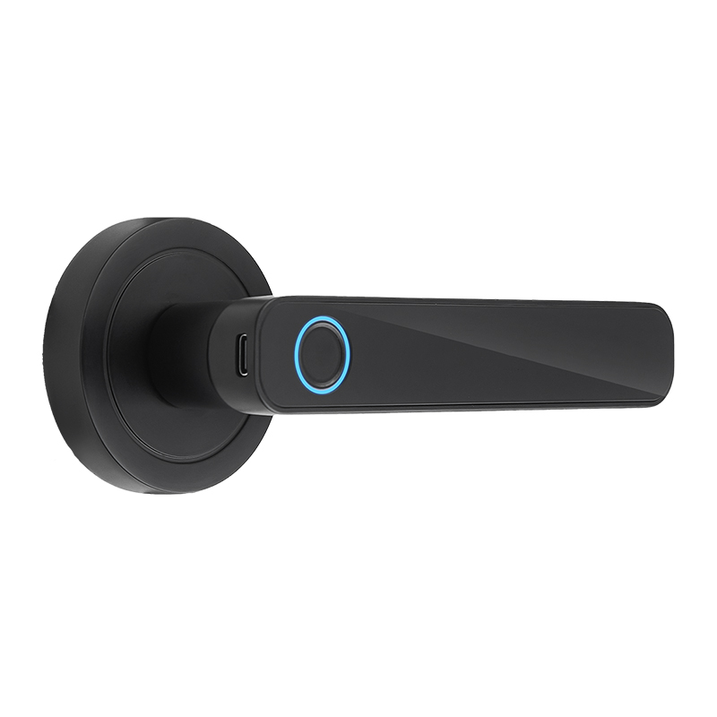 Aspetto WF-F3 Serratura con Impronta & Password