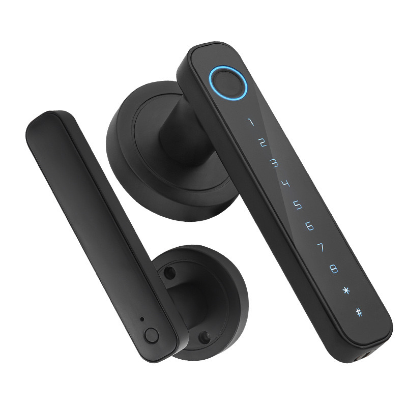 WF-F4 Serratura a maniglia con impronta e password