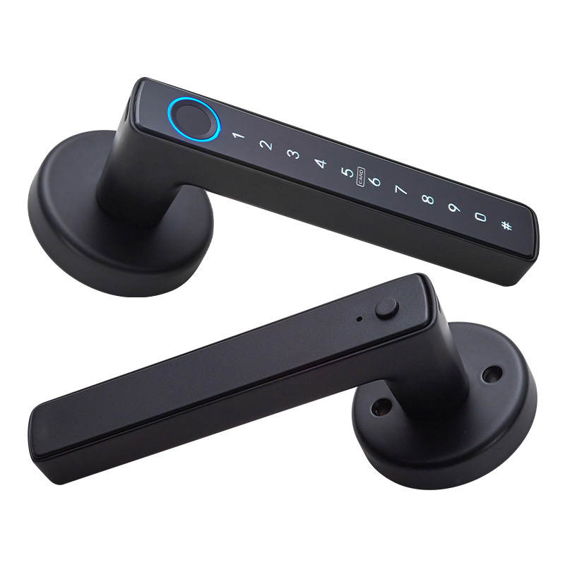 Aspetto WF-F6 Serratura con Impronta