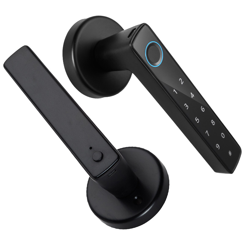 WF-F8 Serratura a maniglia con impronta e password