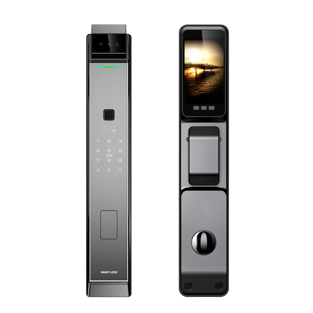 WF-MY5 batteria al litio ricaricabile 4200mAh