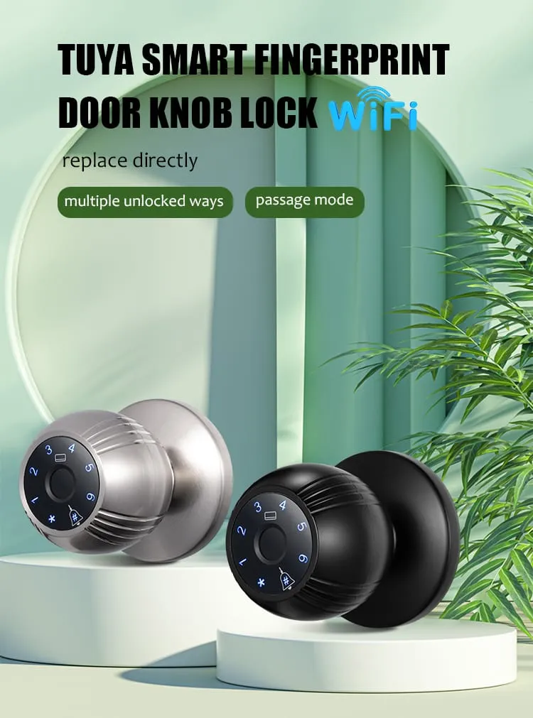 WAFU WF-Q7 Smart Ball Knob Lock —Smart Ball Knob Lock, modern minimalist | detail image 1