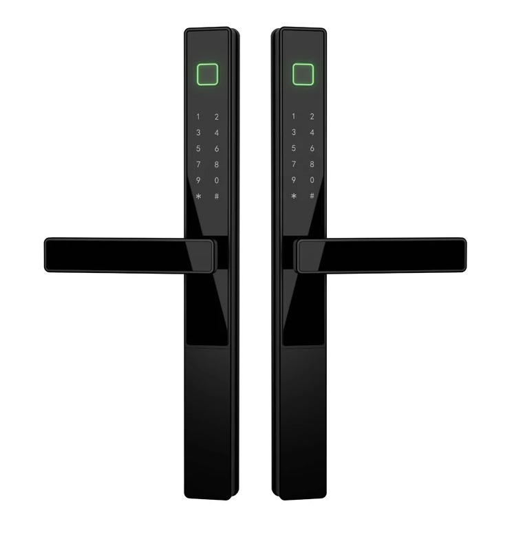 WF-023 Serratura smart in alluminio con impronta